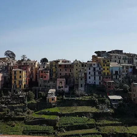 Cecio 5 Terre Corniglia